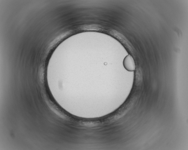 X0000113040533200910081213