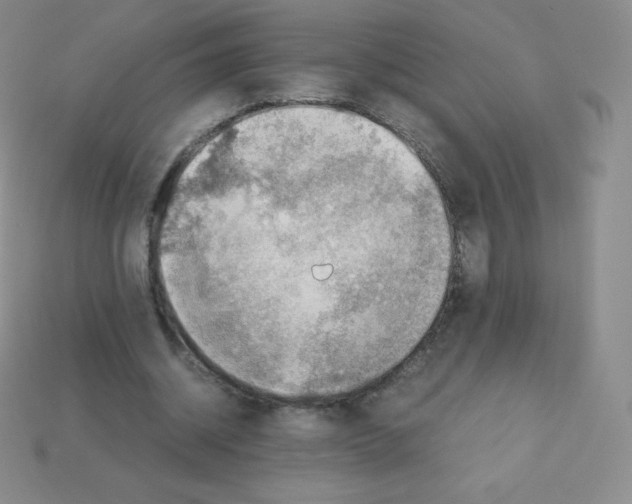X0000113040534200910081213