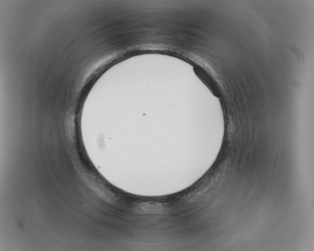 X0000113040535200910081213