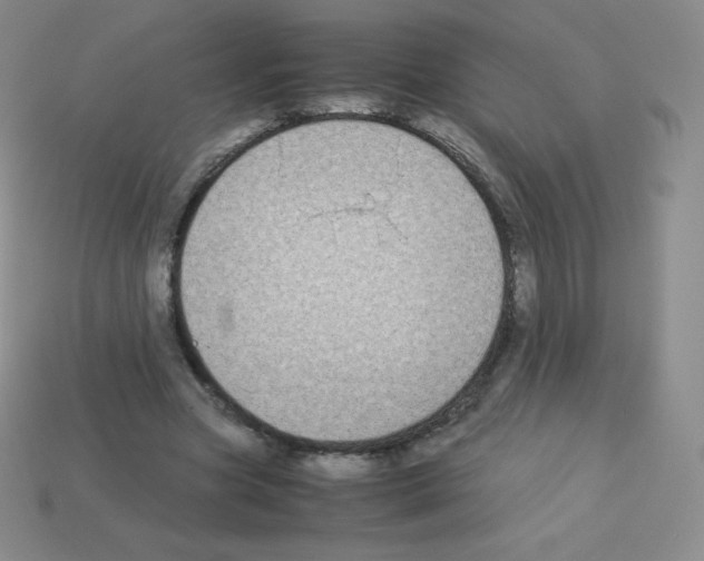 X0000113040537200910081213