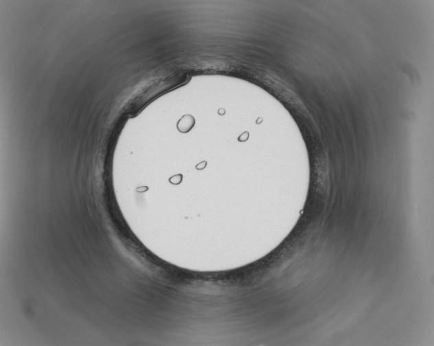 X0000113040538200910081213
