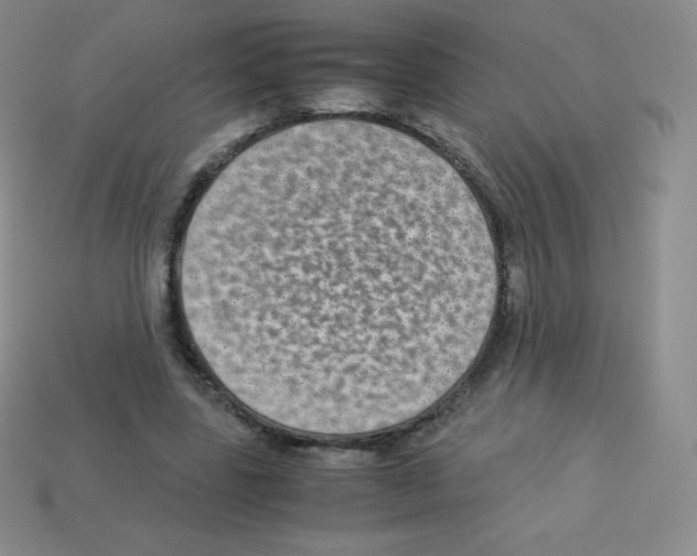X0000113040539200910081213