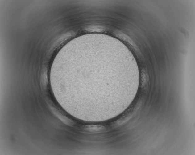 X0000113040541200910081213
