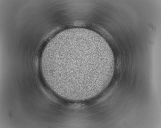 X0000113040542200910081213