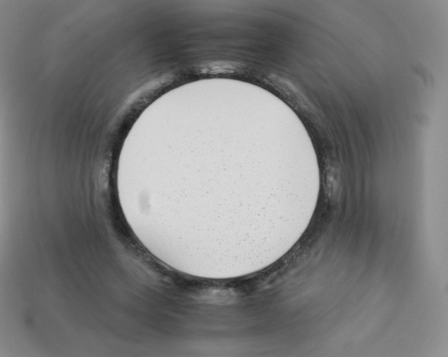 X0000113040543200910081213