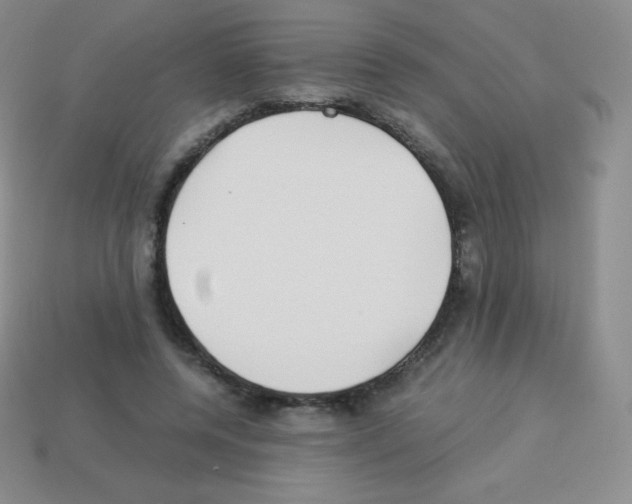 X0000113040544200910081213
