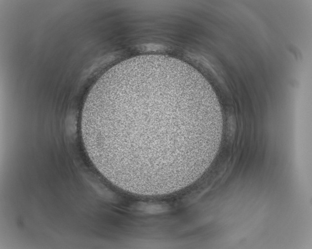 X0000113040545200910081213