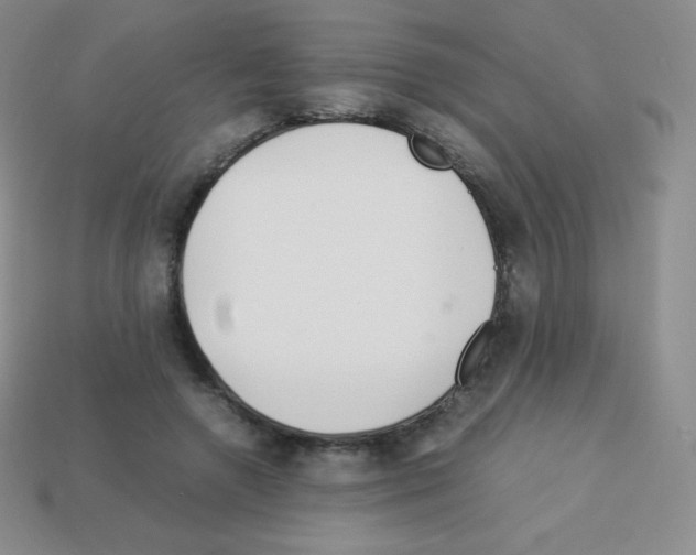 X0000113040546200910081213