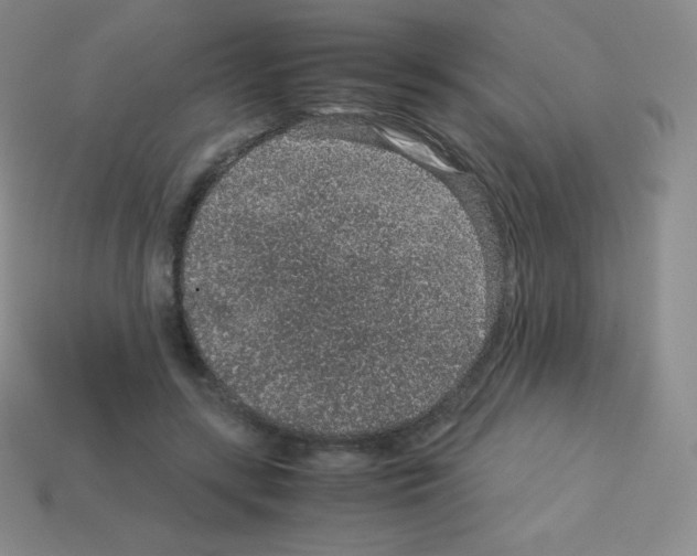 X0000113040547200910081213