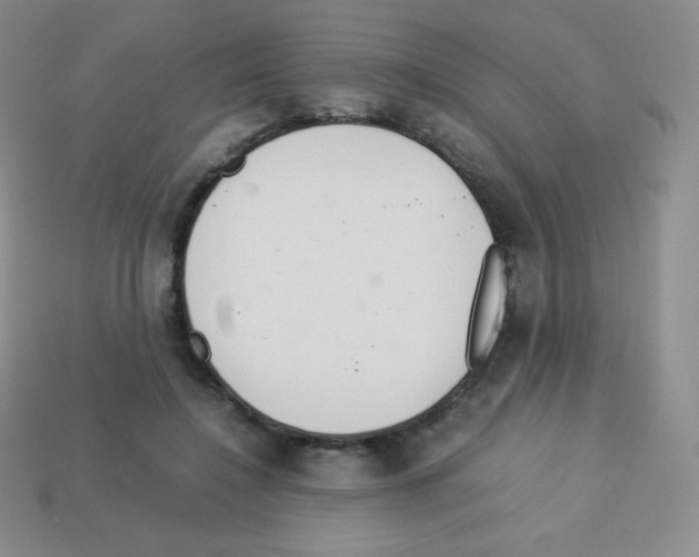 X0000113040548200910081213