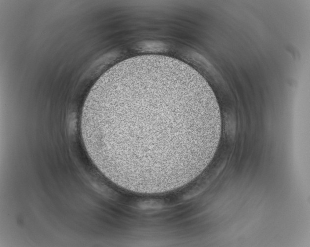 X0000113040549200910081213