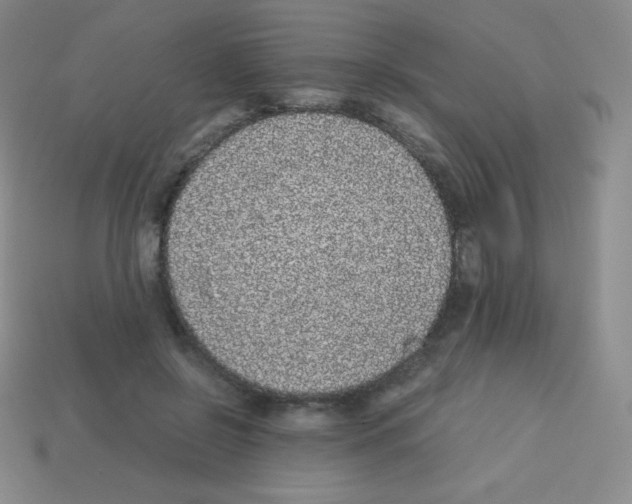X0000113040550200910081213