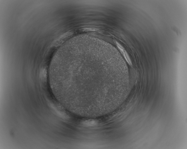 X0000113040551200910081213