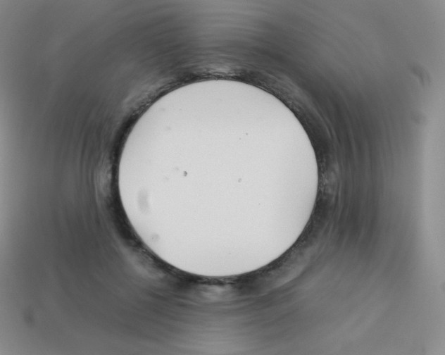 X0000113040552200910081213