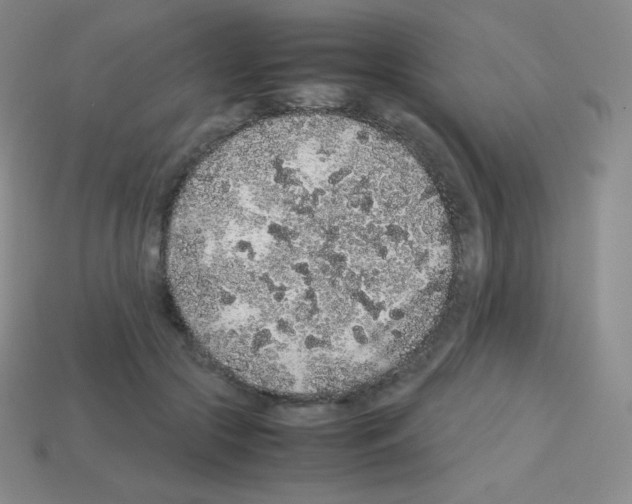 X0000113040553200910081213