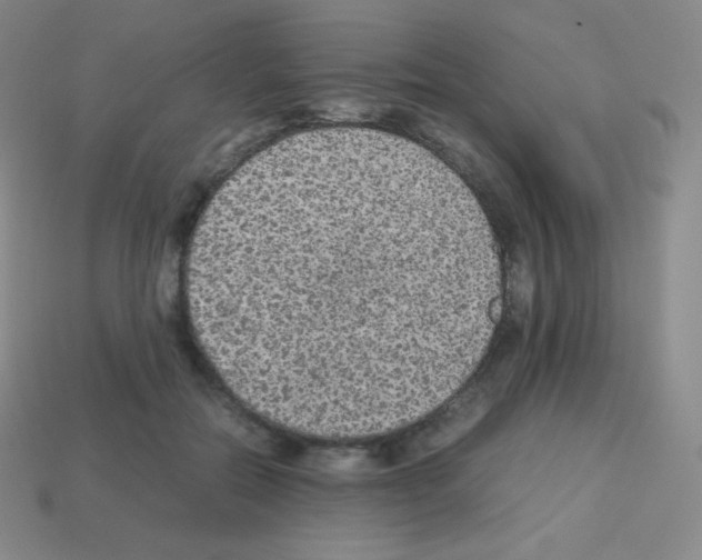 X0000113040554200910081213