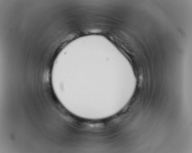 X0000113040555200910081213