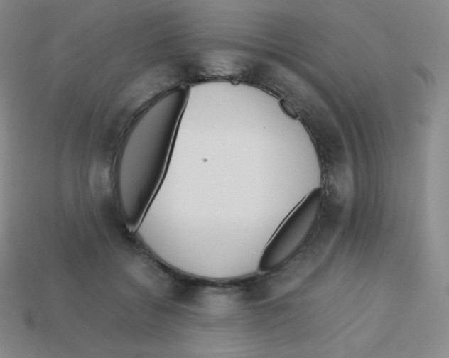 X0000113040556200910081213