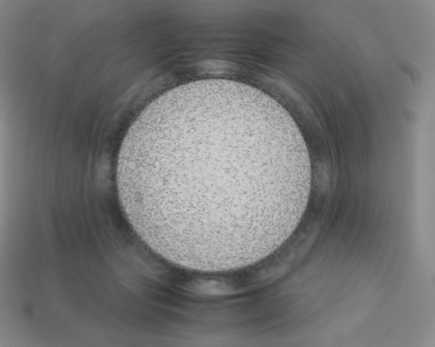 X0000113040557200910081213