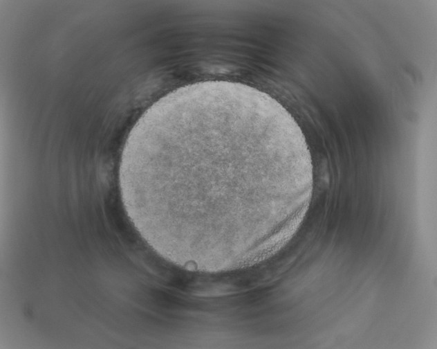 X0000113040559200910081213