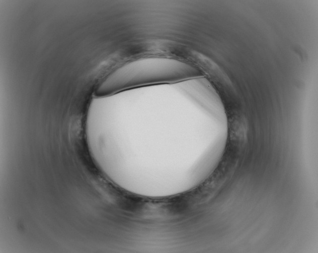 X0000113040560200910081213