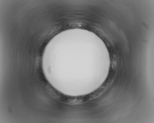 X0000113040561200910081213