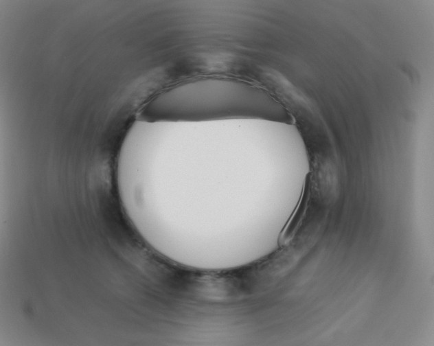 X0000113040562200910081213