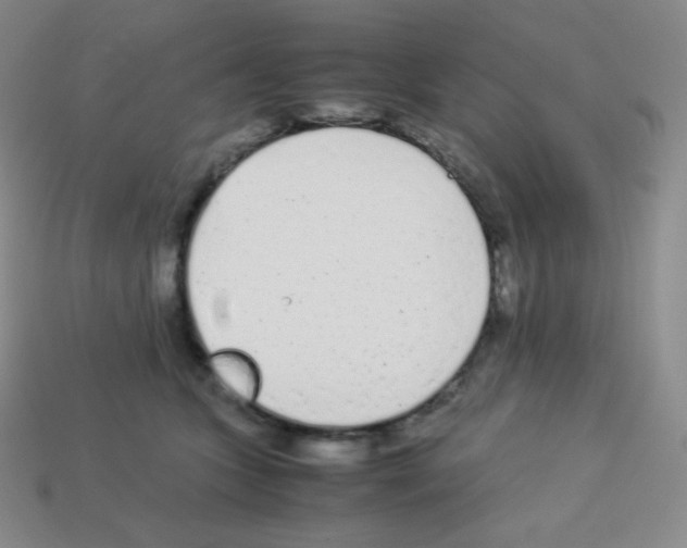 X0000113040563200910081213