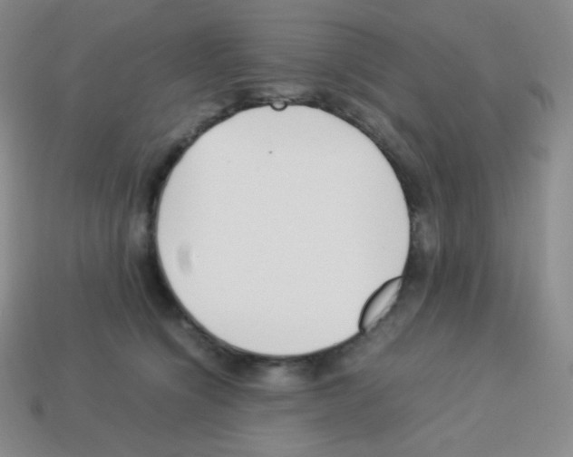 X0000113040564200910081213