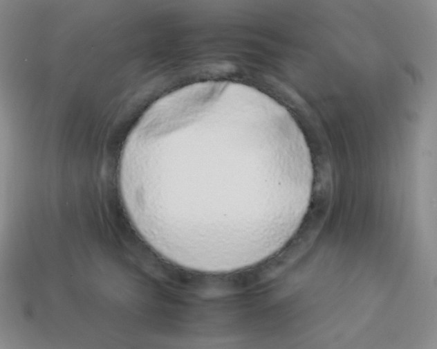 X0000113040565200910081213