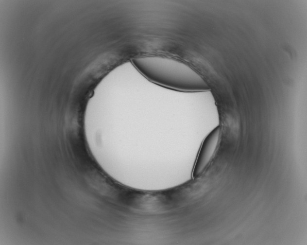 X0000113040566200910081213