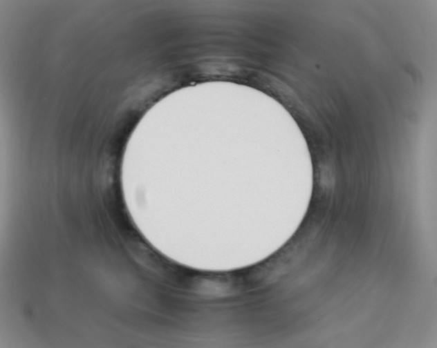 X0000113040567200910081213