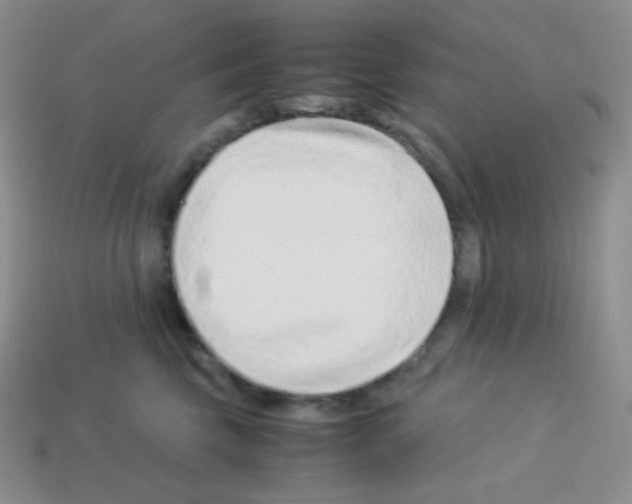 X0000113040569200910081213