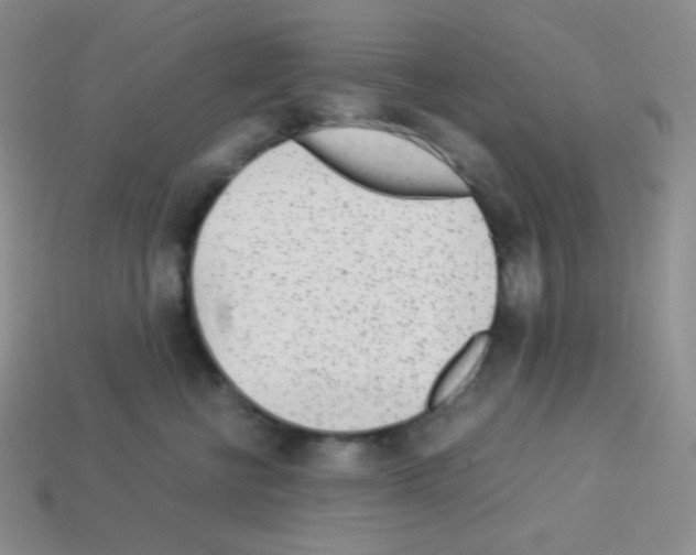 X0000113040570200910081213