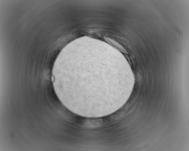 X0000113040571200910081213