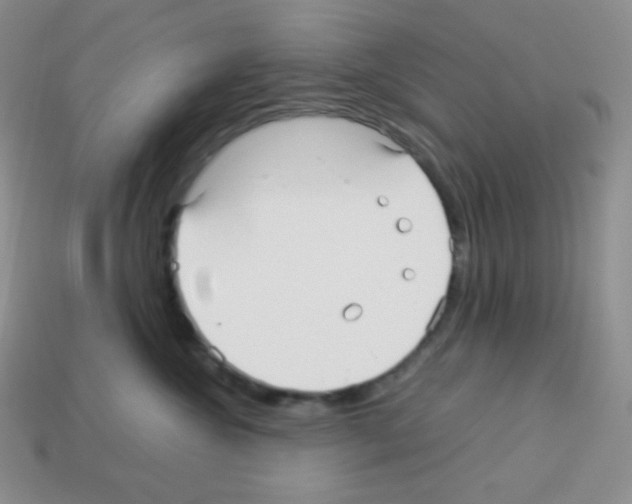 X0000113040572200910081213