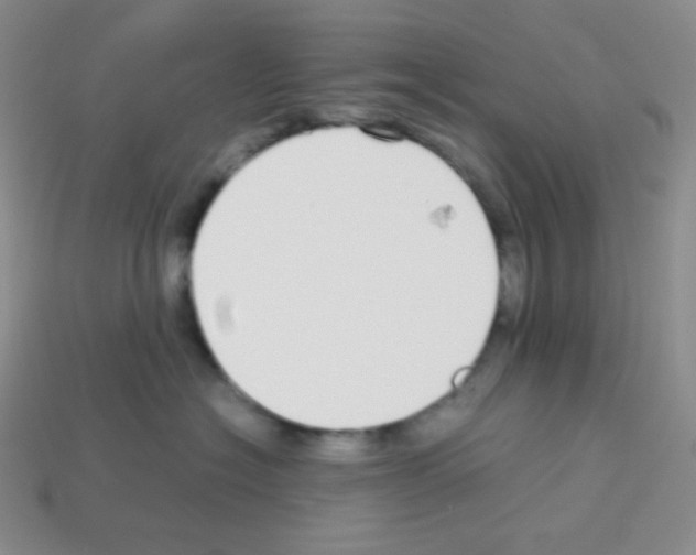 X0000113040574200910081213
