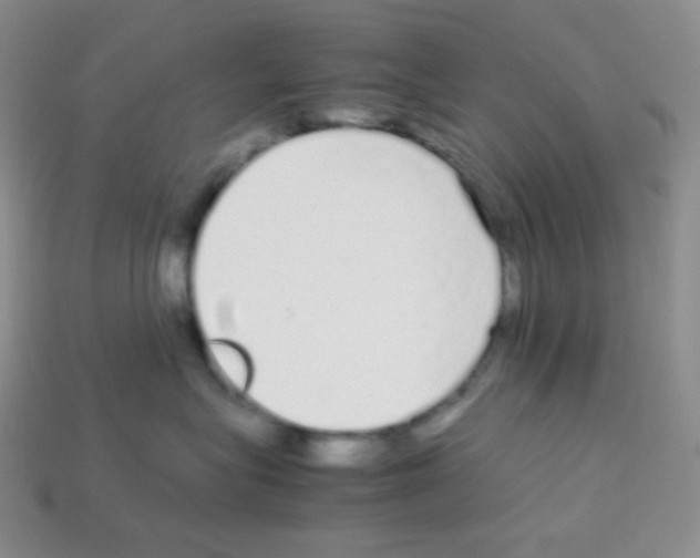 X0000113040575200910081213