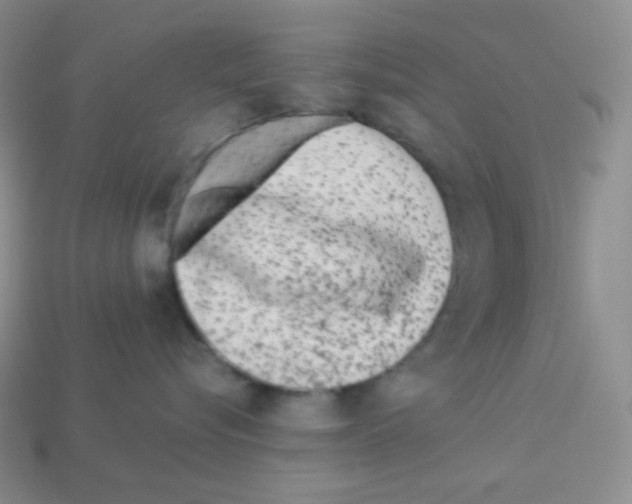 X0000113040576200910081213