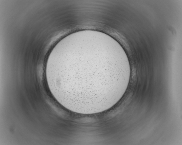 X0000113040578200910081213