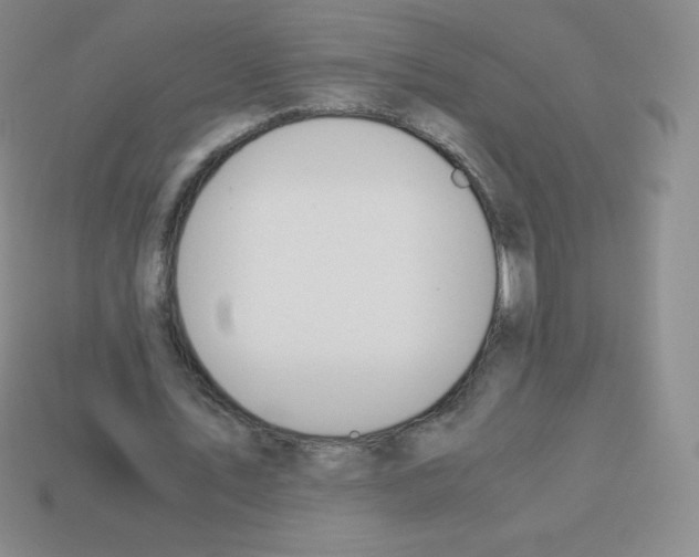 X0000113040579200910081213