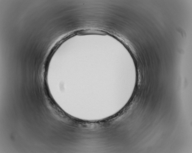 X0000113040580200910081213