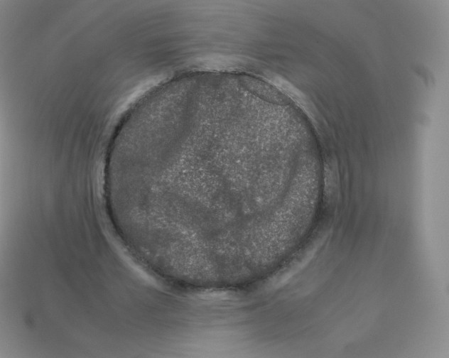 X0000113040581200910081213