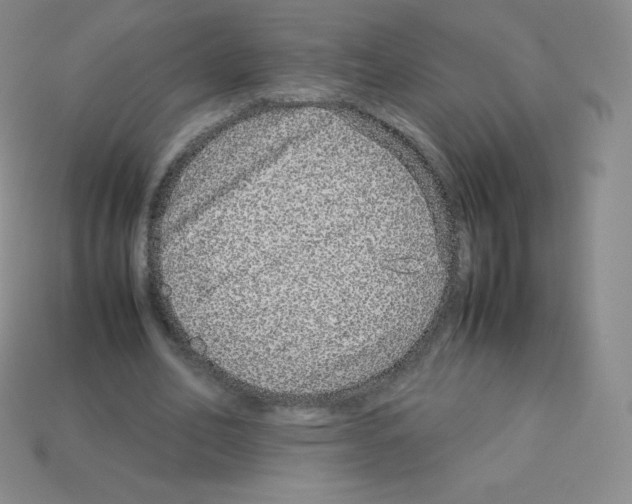 X0000113040582200910081213