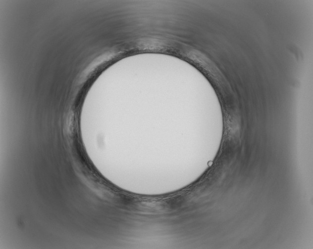 X0000113040583200910081213