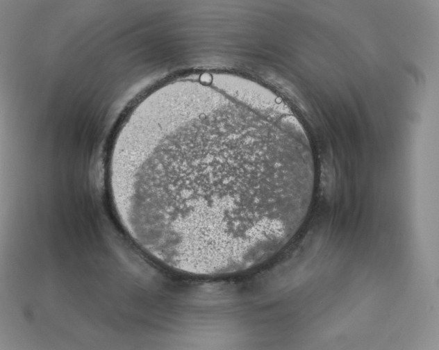X0000113040584200910081213