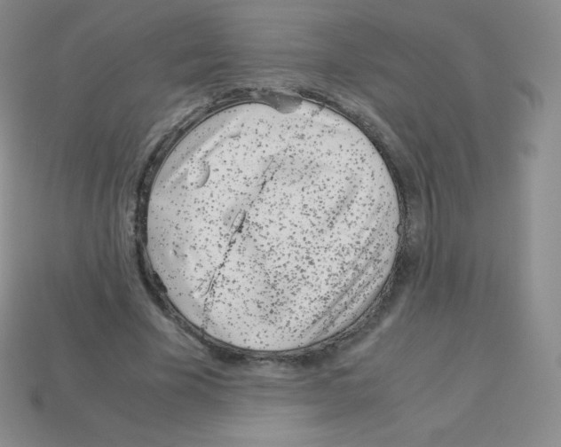 X0000113040585200910081213