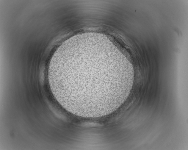 X0000113040586200910081213