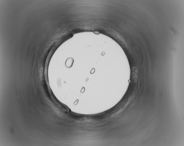 X0000113040589200910081213