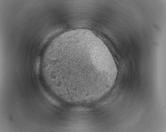 X0000113040590200910081213